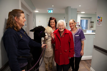 Residents from Great Oaks care home had some unusual visitors recently, as two alpacas came into the home to meet everyone as part of National Pet Month.